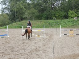 img_9746_web